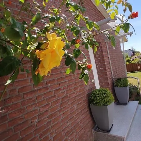 Dat-hus 別荘 クックスハーフェン